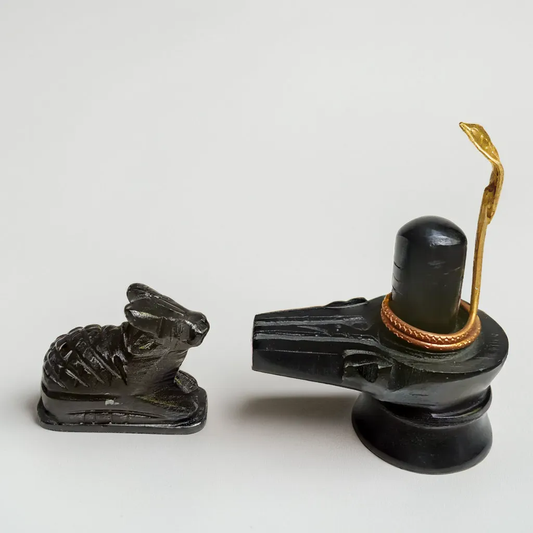 Handcrafted Black Stone Shivling with Nandi Idol and Vasuki, with Kashi Gangajal | Blessed by Baba Kashi Vishwanath | for Worship Mahashivratri, Sawan