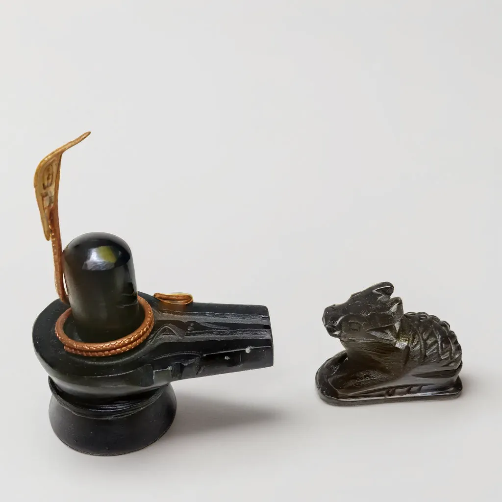 Handcrafted Black Stone Shivling with Nandi Idol and Vasuki, with Kashi Gangajal | Blessed by Baba Kashi Vishwanath | for Worship Mahashivratri, Sawan