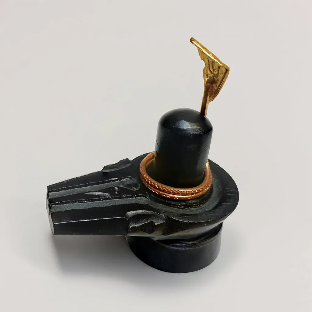 Handcrafted Black Stone Shivling with Nandi Idol and Vasuki, with Kashi Gangajal | Blessed by Baba Kashi Vishwanath | for Worship Mahashivratri, Sawan